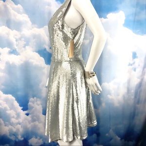 Silver Sequin Dress Fit & Flare Expose Back Zipper